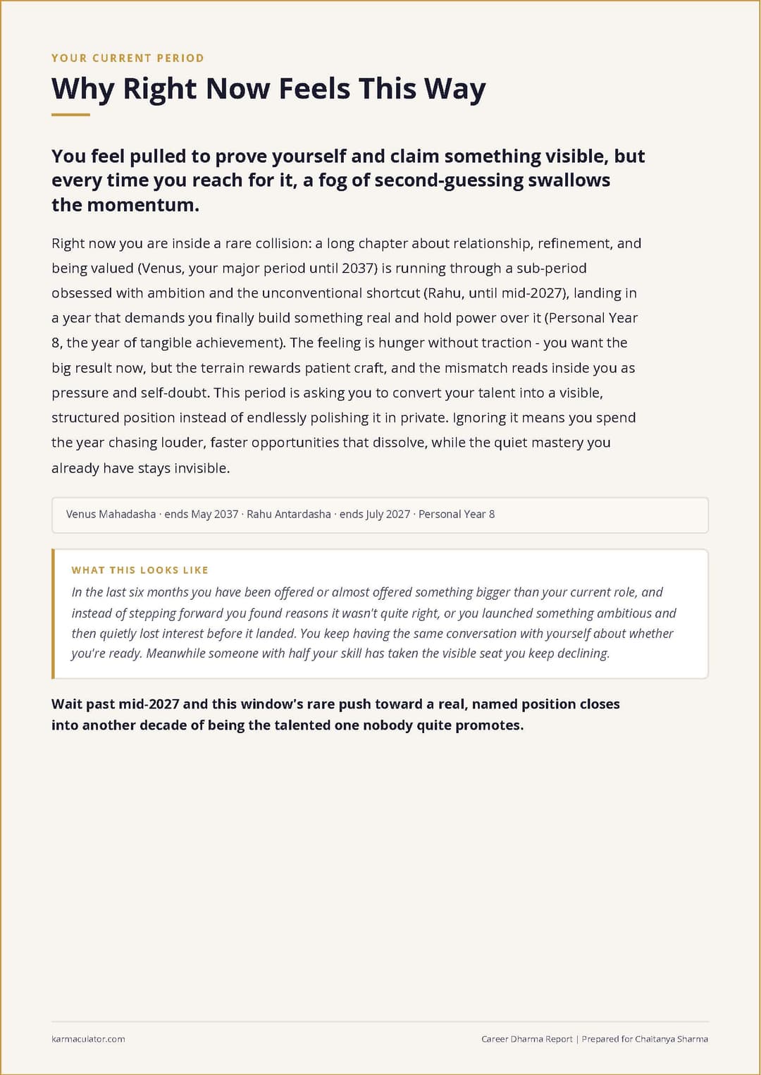 Your Career Archetype - derived from your Lagna, dominant planets, and Dasha timing